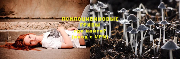 сатива Балабаново
